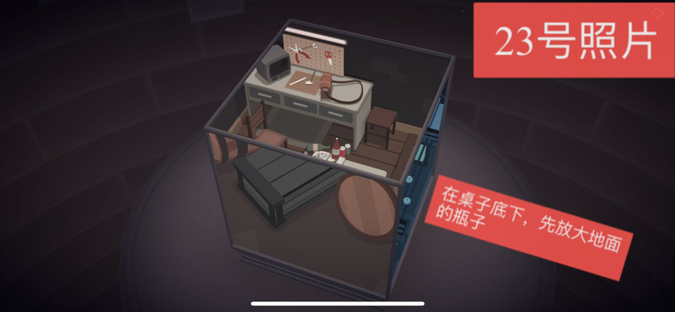 笼中窥梦全照片位置