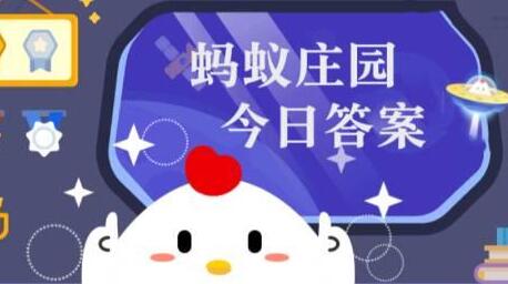 以花命名的城市