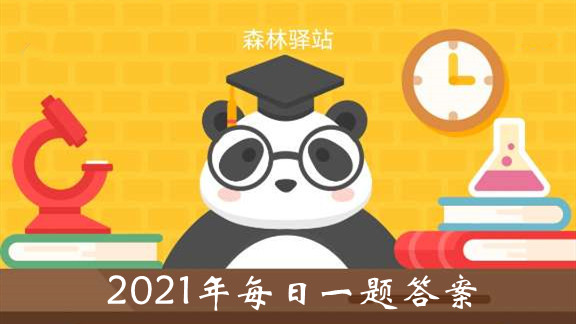 森林驿站1月13日每日一题答案介绍