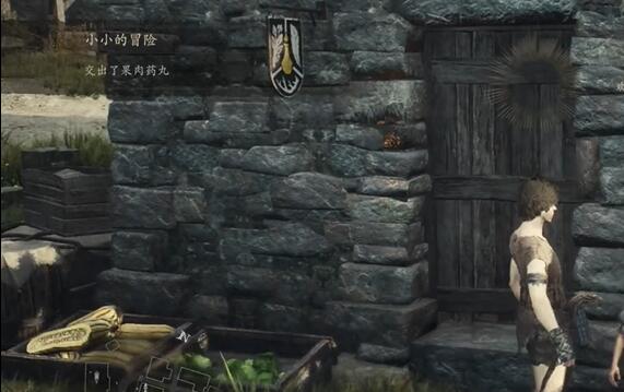龙之信条2小小的冒险任务攻略