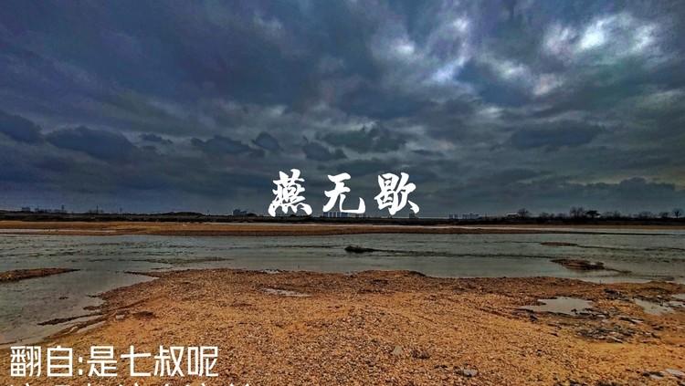光遇燕无歇乐谱分享