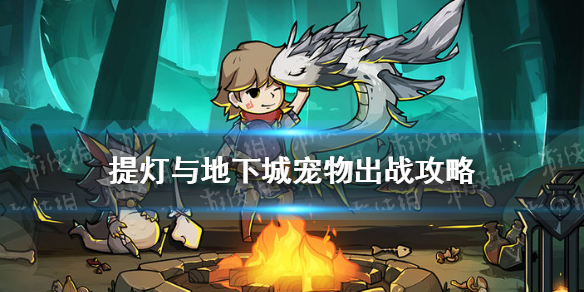 提灯与地下城宠物搭配攻略