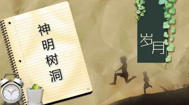 神明树洞新的网址叫什么