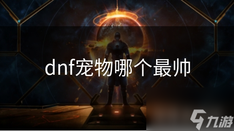 dnf宠物哪个最帅