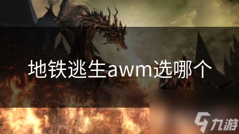 地铁逃生awm选哪个