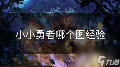 小小勇者哪个图经验