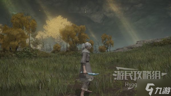 《艾尔登法环》结晶小刀面板与获取攻略 结晶小刀怎么获取