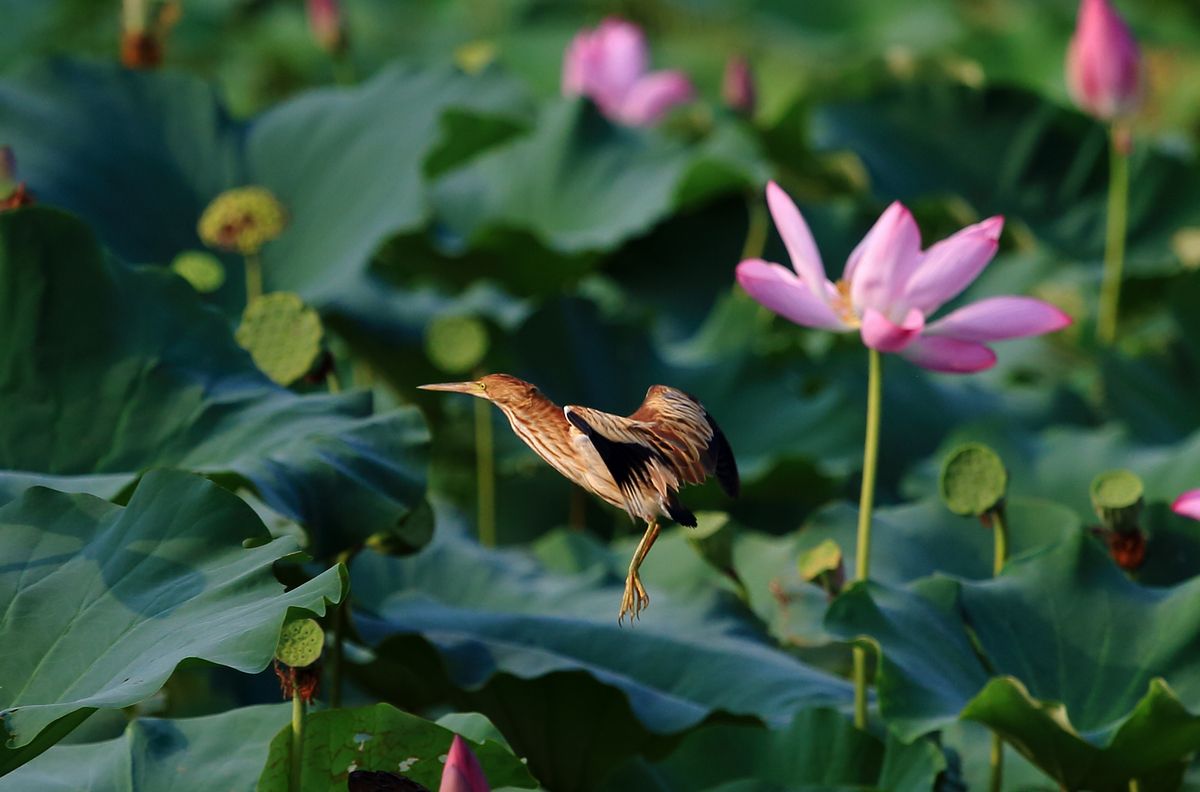 中国南方地区夏季气候特点