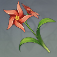 原神风车菊获得方法介绍