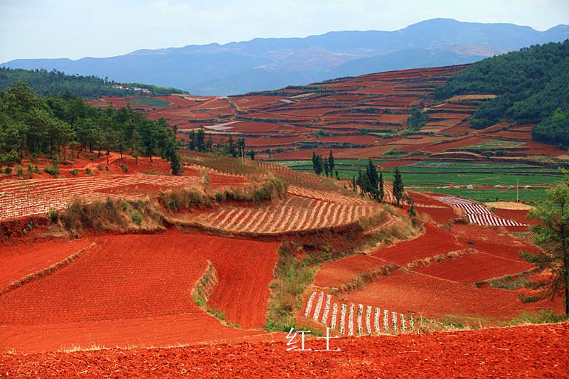 中国南方地区土壤以什么为主