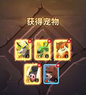 不休的乌拉拉法师宠物推荐