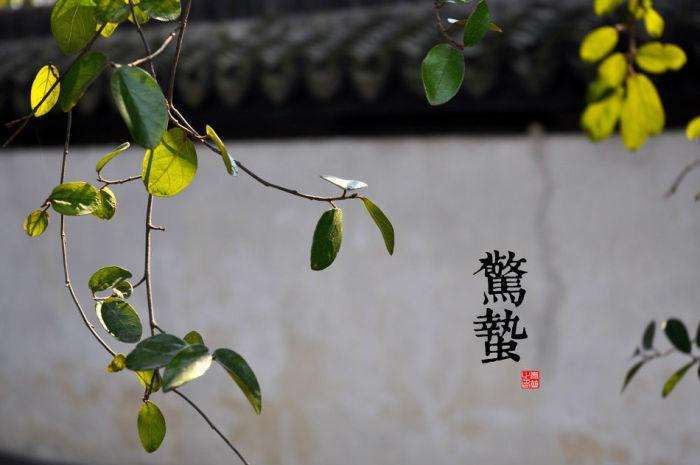 惊蛰时指什么乍动惊醒了蛰伏在土中冬眠的动物