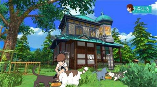 小森生活猫咪领养攻略