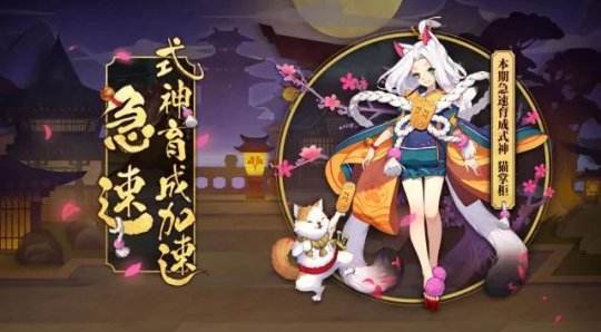 阴阳师猫掌柜培养攻略