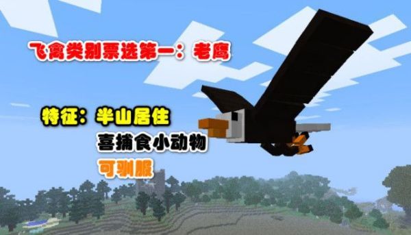 我的世界老鹰驯服方法介绍