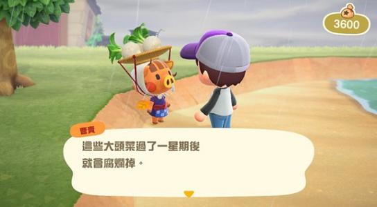动物森友会然然出现时间介绍