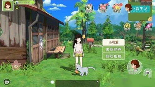 小森生活猫咪领养攻略