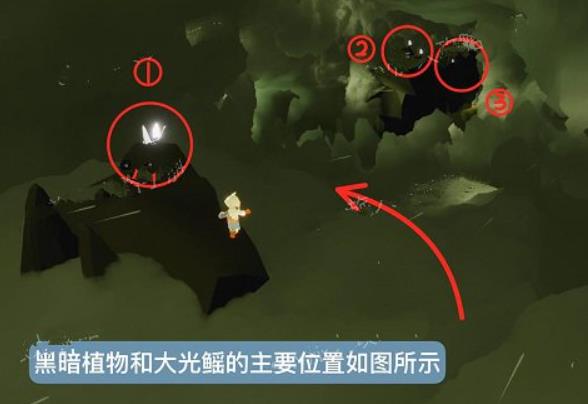 光遇风行季第五个任务攻略