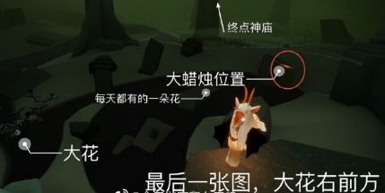 光遇8月4号大蜡烛位置介绍