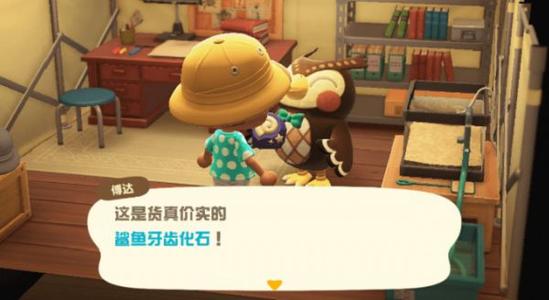 动物森友会然然出现地点介绍