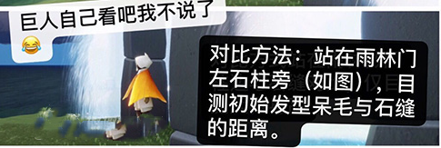 光遇身高对照表介绍