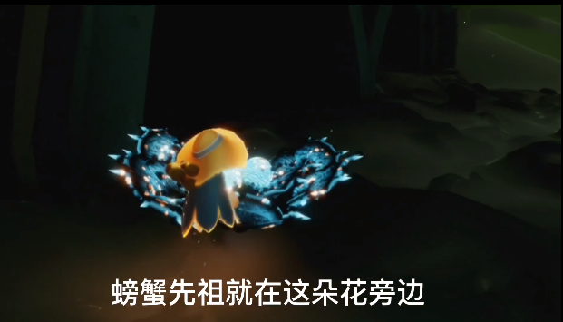 光遇11.5复刻先祖位置介绍