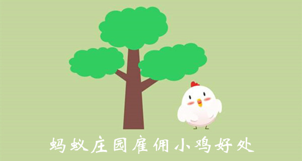 蚂蚁庄园雇佣小鸡作用介绍