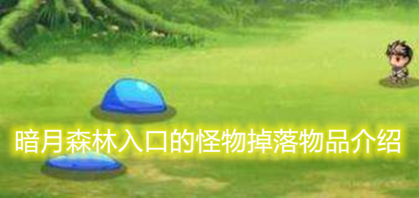 大千世界暗月森林入口的怪物掉落物品介绍