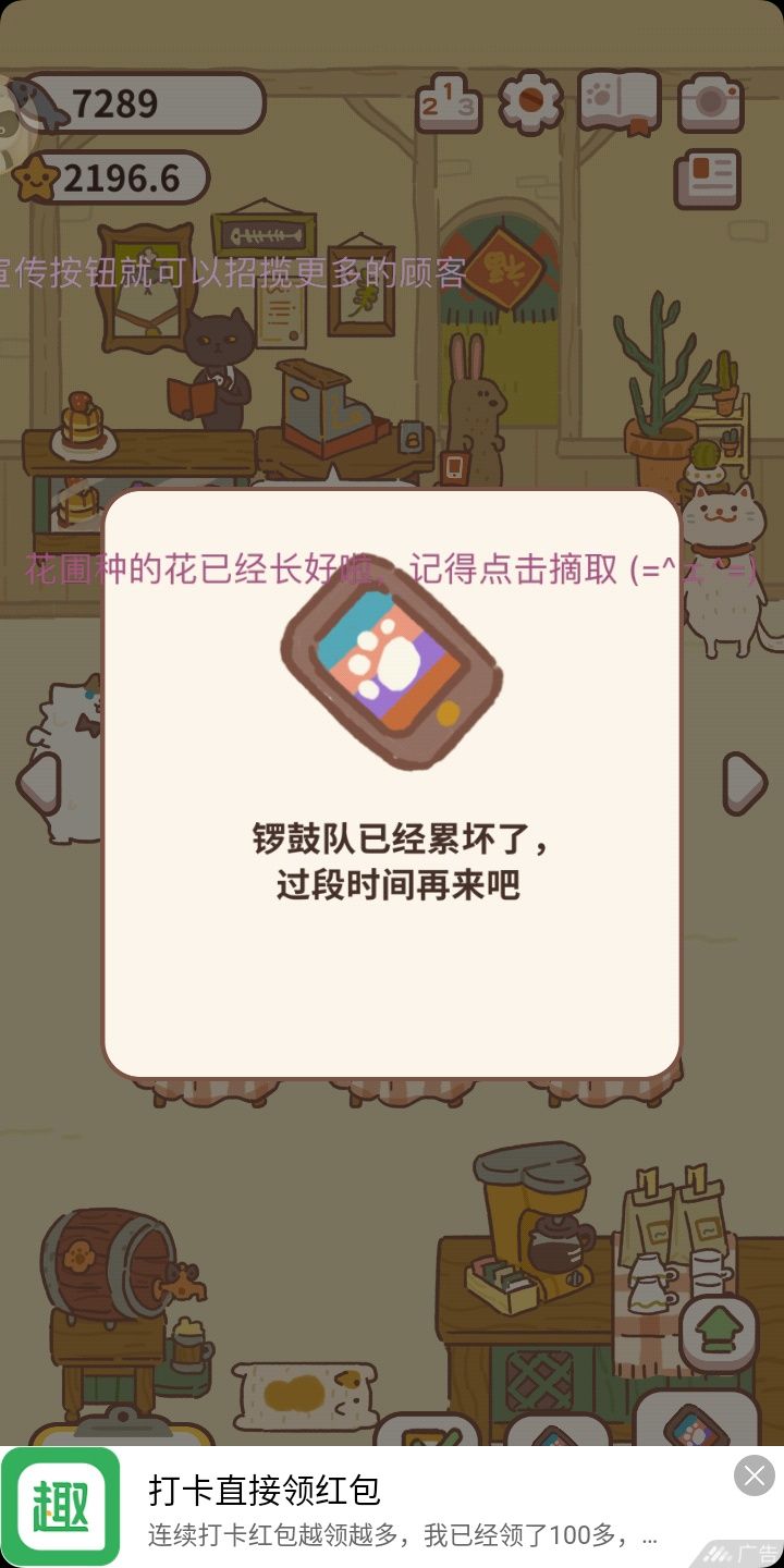 动物餐厅黑柴犬来访条件介绍