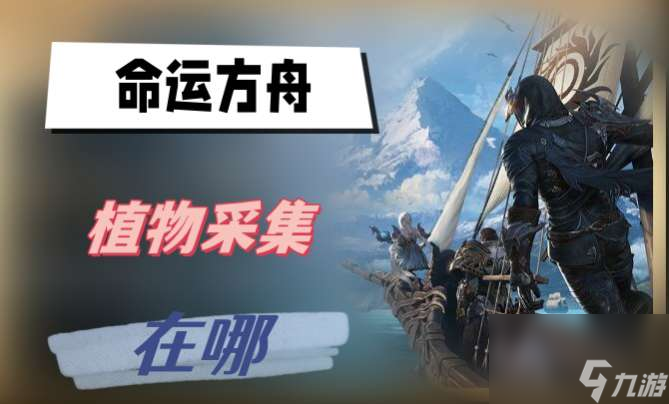 命运方舟采集哪里多