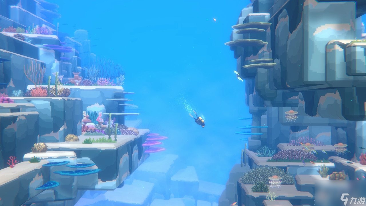 潜水员戴夫短尾真鲨在哪