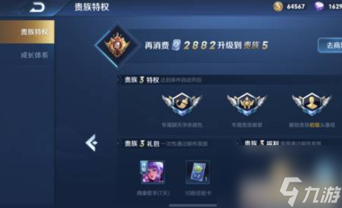 王者荣耀贵族v10要充多少钱