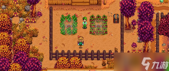 星露谷物语哪种植物值钱