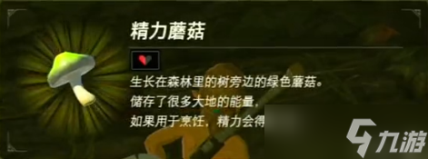 塞尔达传说旷野之息防寒服怎么获得