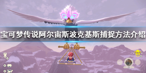 宝可梦阿尔宙斯传说波克比在哪