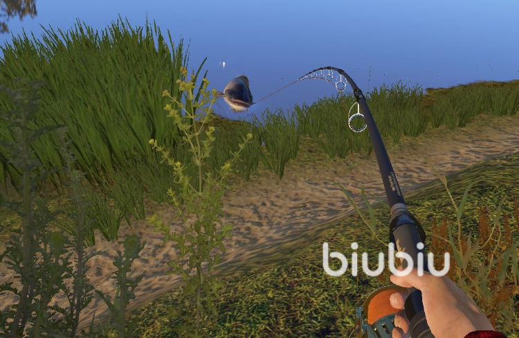 俄罗斯钓鱼4钓是什么鱼