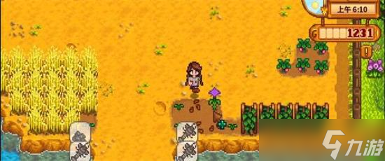 星露谷物语秋天种什么树