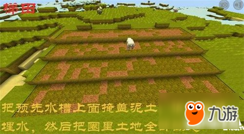 迷你世界梯田制作方法 迷你世界梯田怎么做
