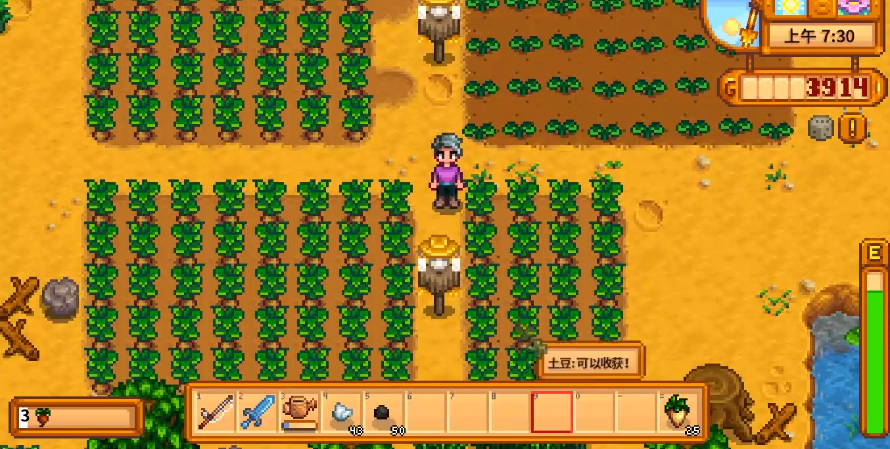 星露谷物语春天做什么