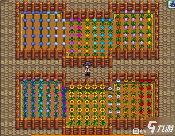 星露谷物语姜岛怎么种地