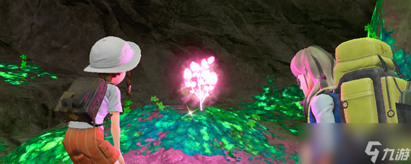 宝可梦朱紫闪光有什么区别