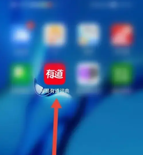 网易有道词典怎么开通会员 网易有道词典开通VIP会员方法