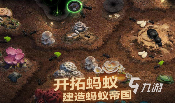 虫子进化游戏有哪些介绍2024 虫子进化题材的游戏下载分享