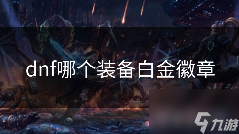 dnf哪个装备白金徽章