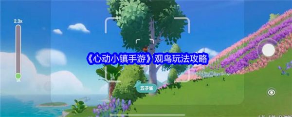 心动小镇如何观鸟