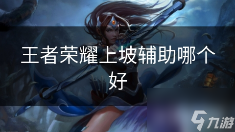 王者荣耀上坡辅助哪个好