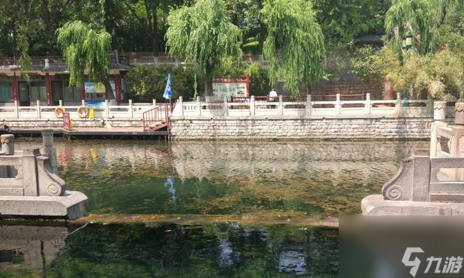剑与远征 揭秘密林泉音的通关奥秘