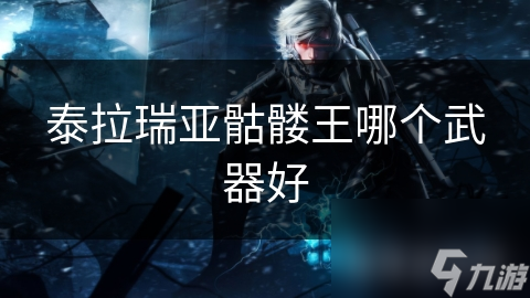 泰拉瑞亚骷髅王哪个武器好