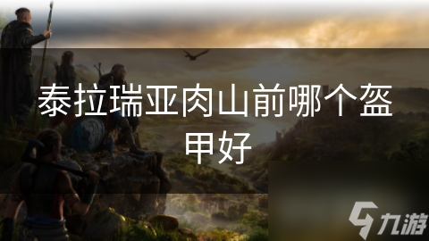 泰拉瑞亚肉山前哪个盔甲好