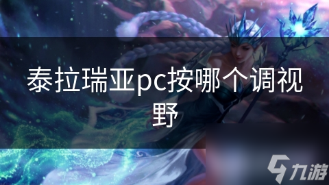 泰拉瑞亚pc按哪个调视野